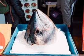 engawet dalam Penyimpanannya Ikan Tuna